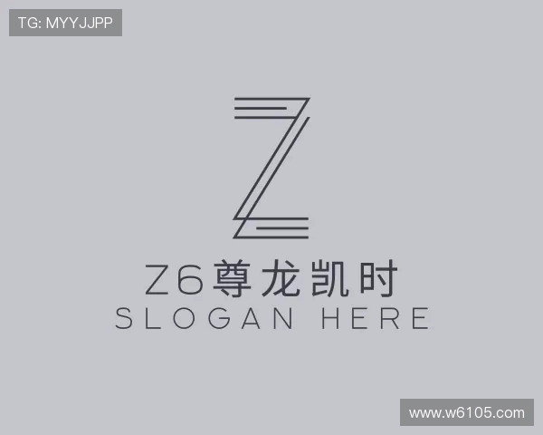 了解z6尊龙凯时